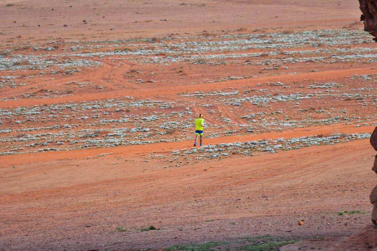 Art Camp Wadi Rum Ngoại thất bức ảnh